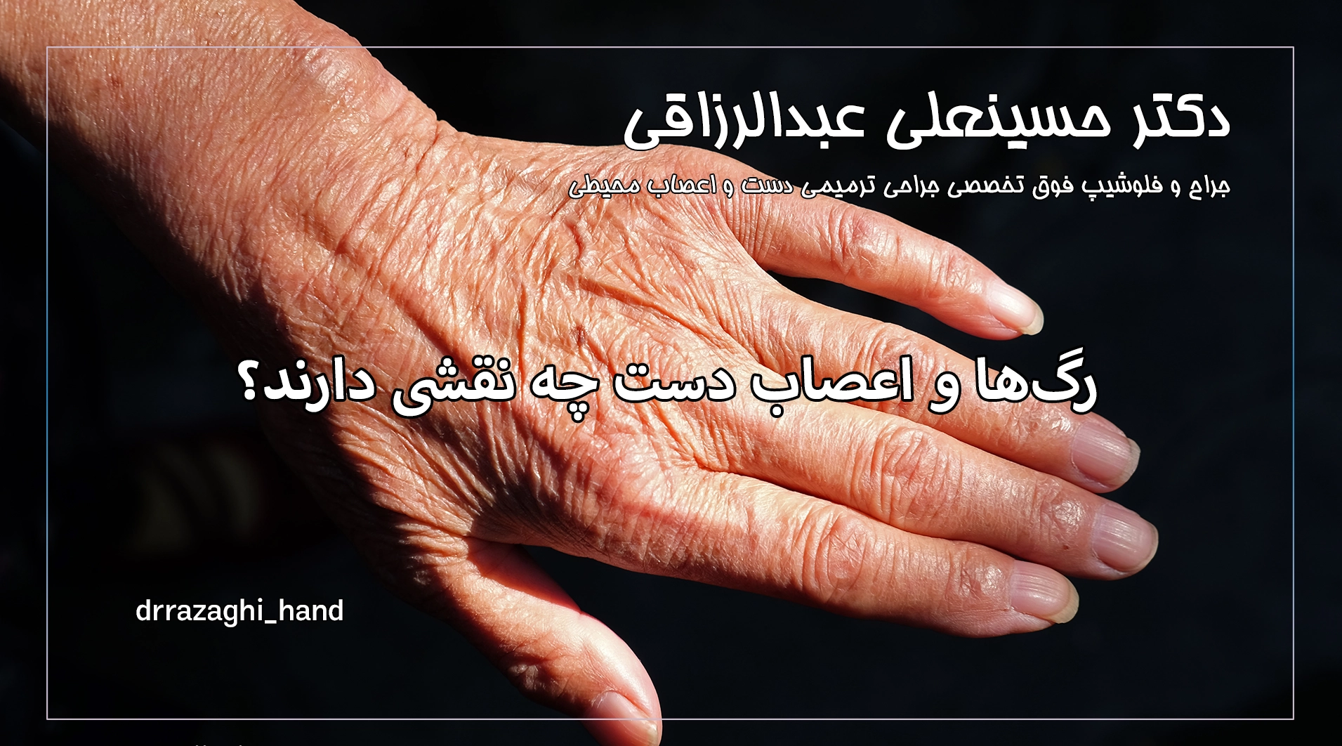 رگها و اعصاب دست چه نقشی دارند؟